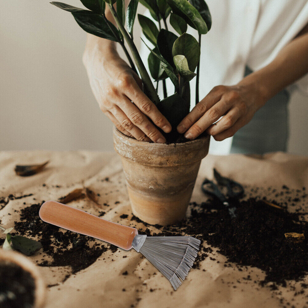 nytt 1 sett blomsterplanter av håndbladgrabbere nåleretting