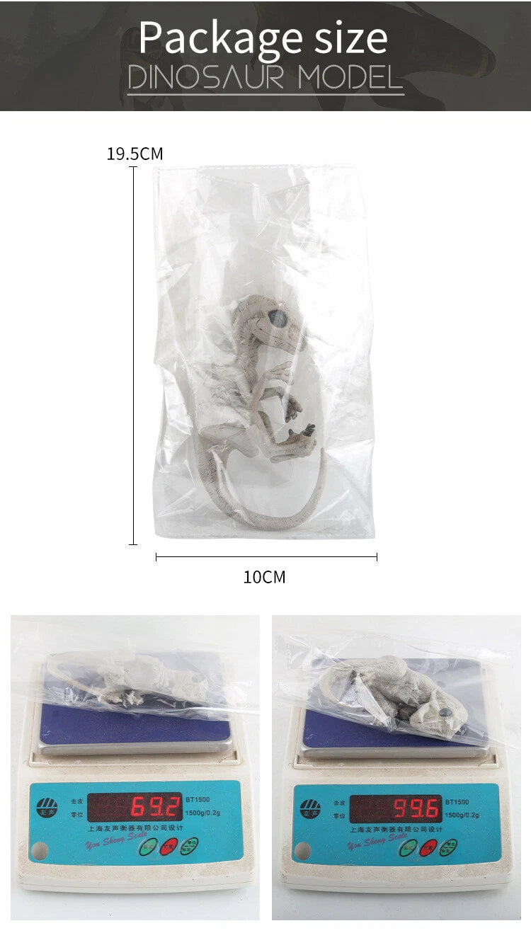Velociraptor Dinosaur Embryo Model Unpainted Animal Plastic Figure Mini Statue 07FC0E-D4 - KOEEK