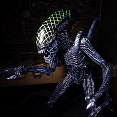 NECA Grid Alien Xenomorph Warrior AVP 7" Action Figure 1:12 Aliens Series 7 NECA - KOEEK