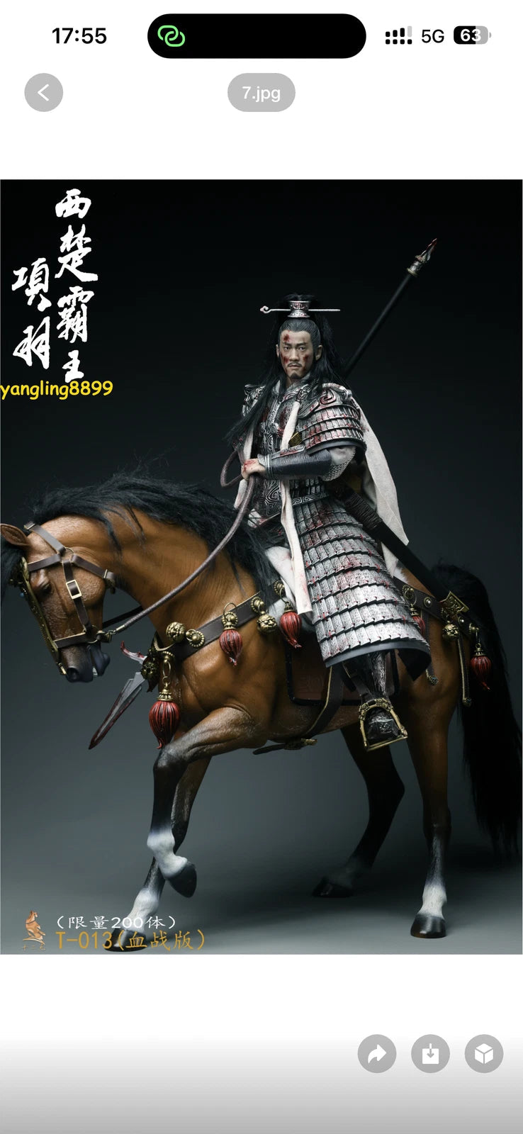 ShiErDian 1/6 XiangYu Action Figure Model Bloody Battle Ver. Collect Pre order SHIERDIAN - KOEEK