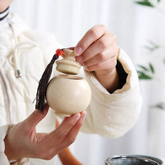 Portable Sealed Porcelain Caddy Spice Ceramics Jar Oolong Tea Candy Storage Tank 07FC0E-D4 - KOEEK