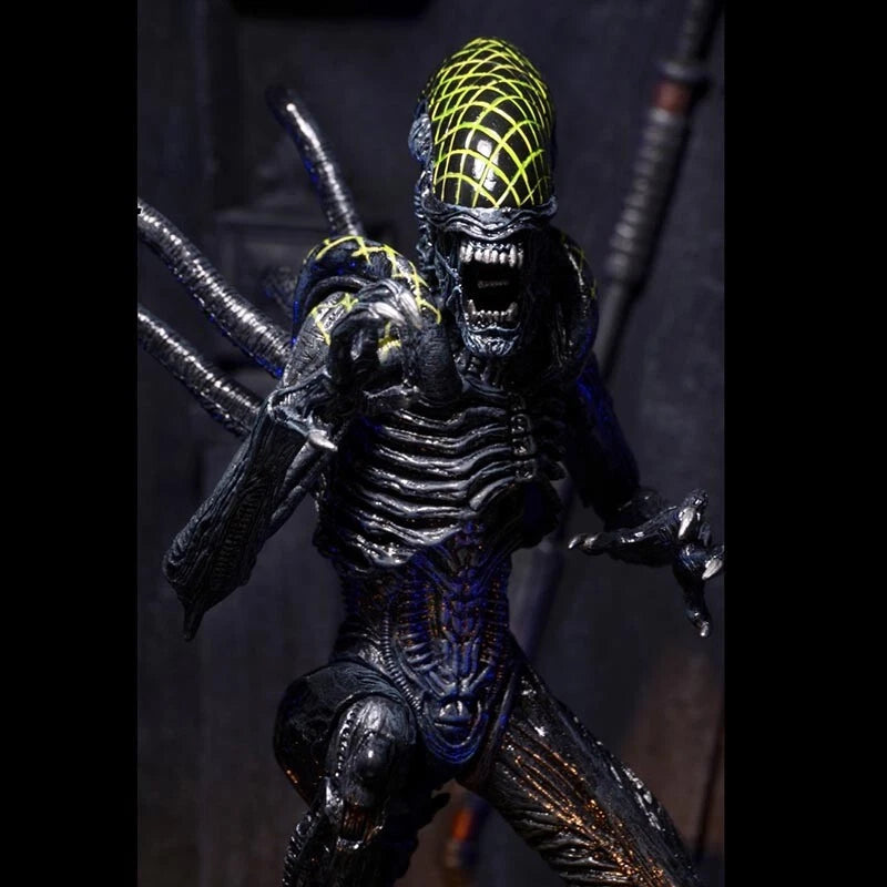 NECA Grid Alien Xenomorph Warrior AVP 7" Action Figure 1:12 Aliens Series 7 NECA - KOEEK