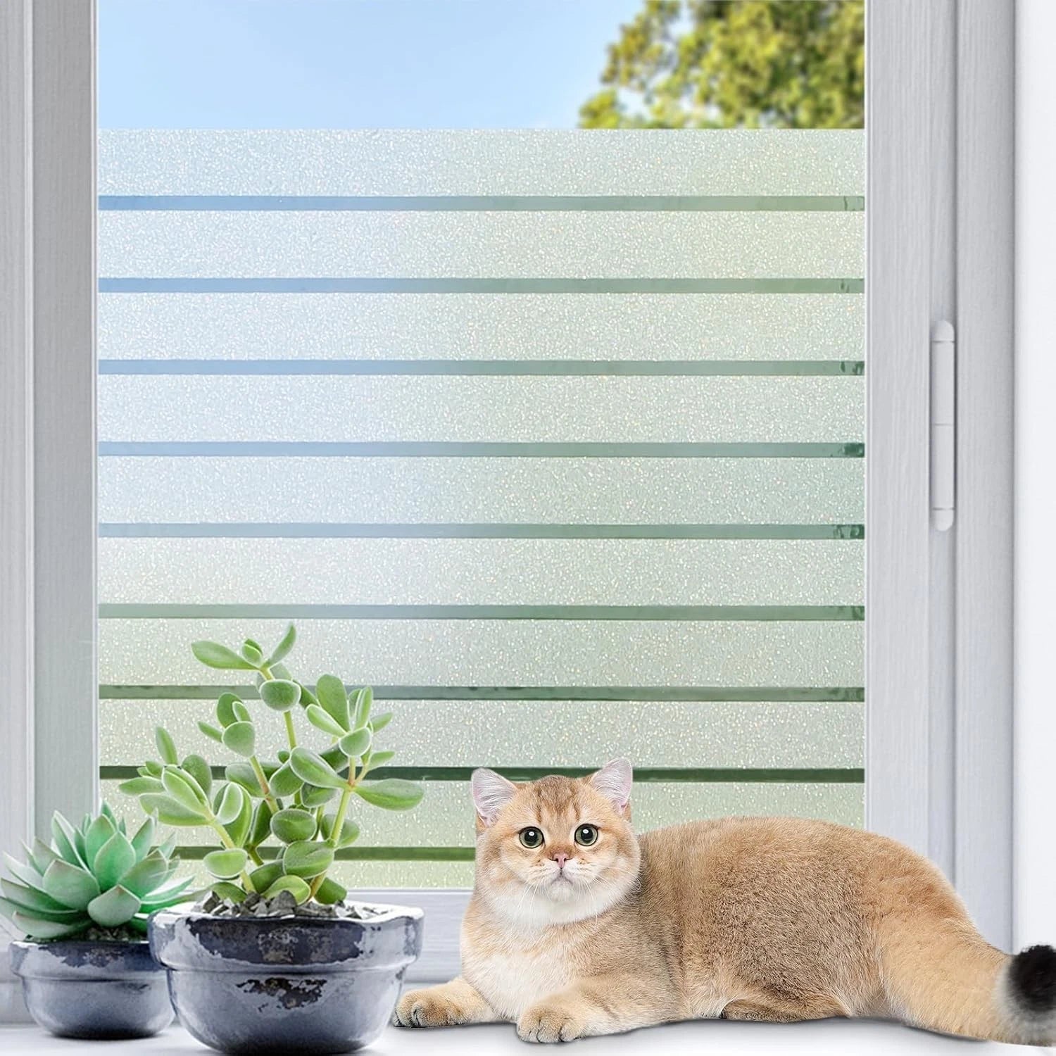 Privacy Film - Frosted Glass Window Covering, Non-Adhesive Sun Blocking Film 07FC0E-D4 - KOEEK