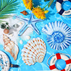 new Yookeer 4 Pcs Beach Wall Decor Seashell Starfish Large, As Pictures Shown YOOKEER - KOEEK