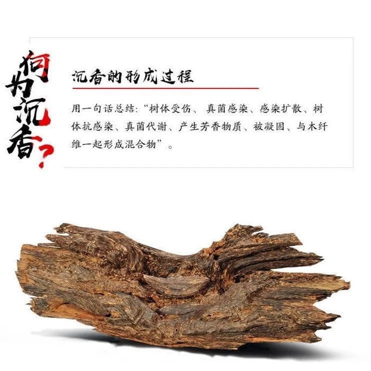 Natural Vietnam Nha Trang Bracelet 20 Beads White Agarwood Old Material 07FC0E-D4 - KOEEK