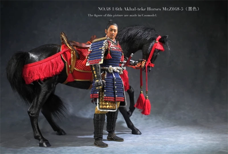 Mr.Z 1:6 Scale Animal Resin Akhal-Teke Horse Figure 6 Color Simulation Toy 07FC0E-D4 - KOEEK