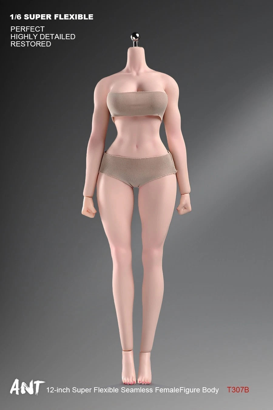 ANT T307 1/6 Female Normal Sexy Large Bust Muscle Plump Body For 12''Figure 07FC0E-D4 - KOEEK
