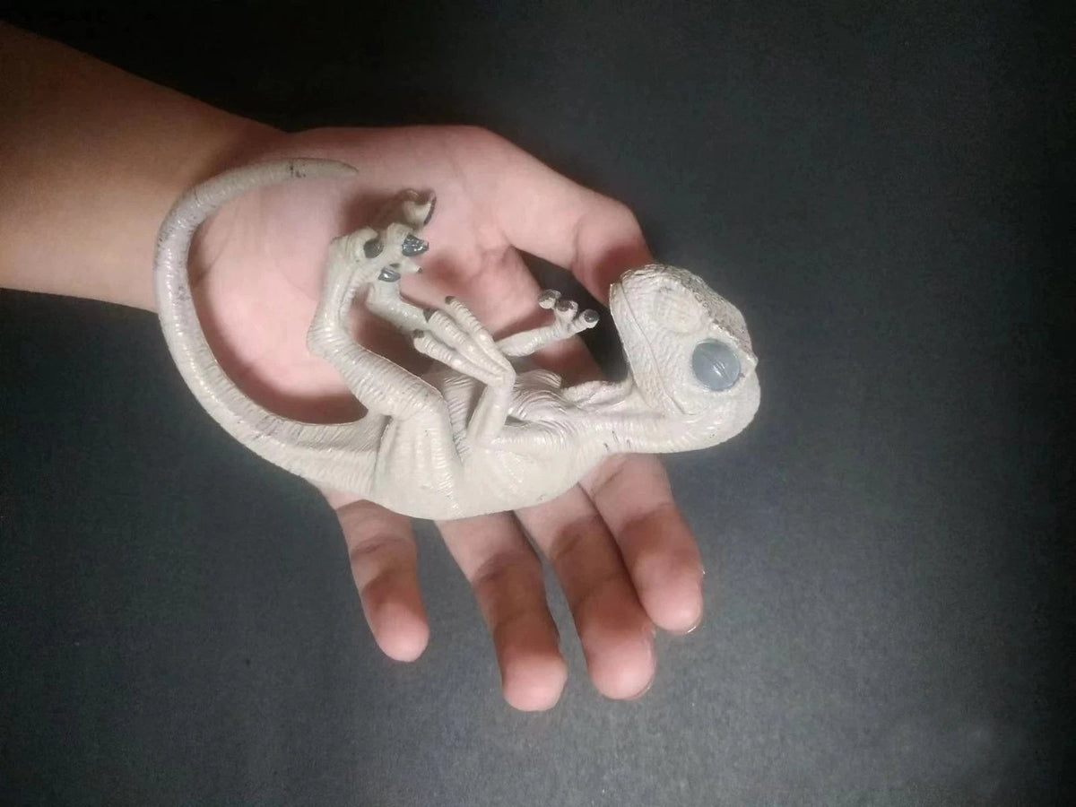 Velociraptor Dinosaur Embryo Model Unpainted Animal Plastic Figure Mini Statue 07FC0E-D4 - KOEEK