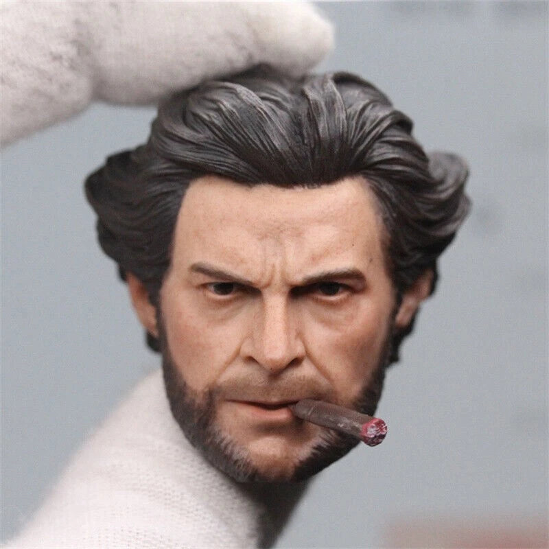 1/6 X-Men Wolverine Logan Hugh Jackman Figure Model DIY Kit Collectible Doll Toy 07FC0E-D4 - KOEEK