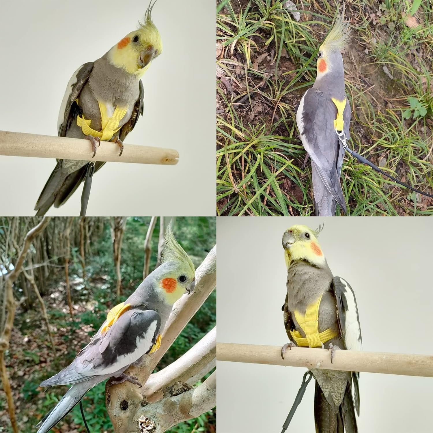 new Bird Harness with Buckle Clip and a Leash, Easy to Wear for S, Yellow 07FC0E-D4 - KOEEK