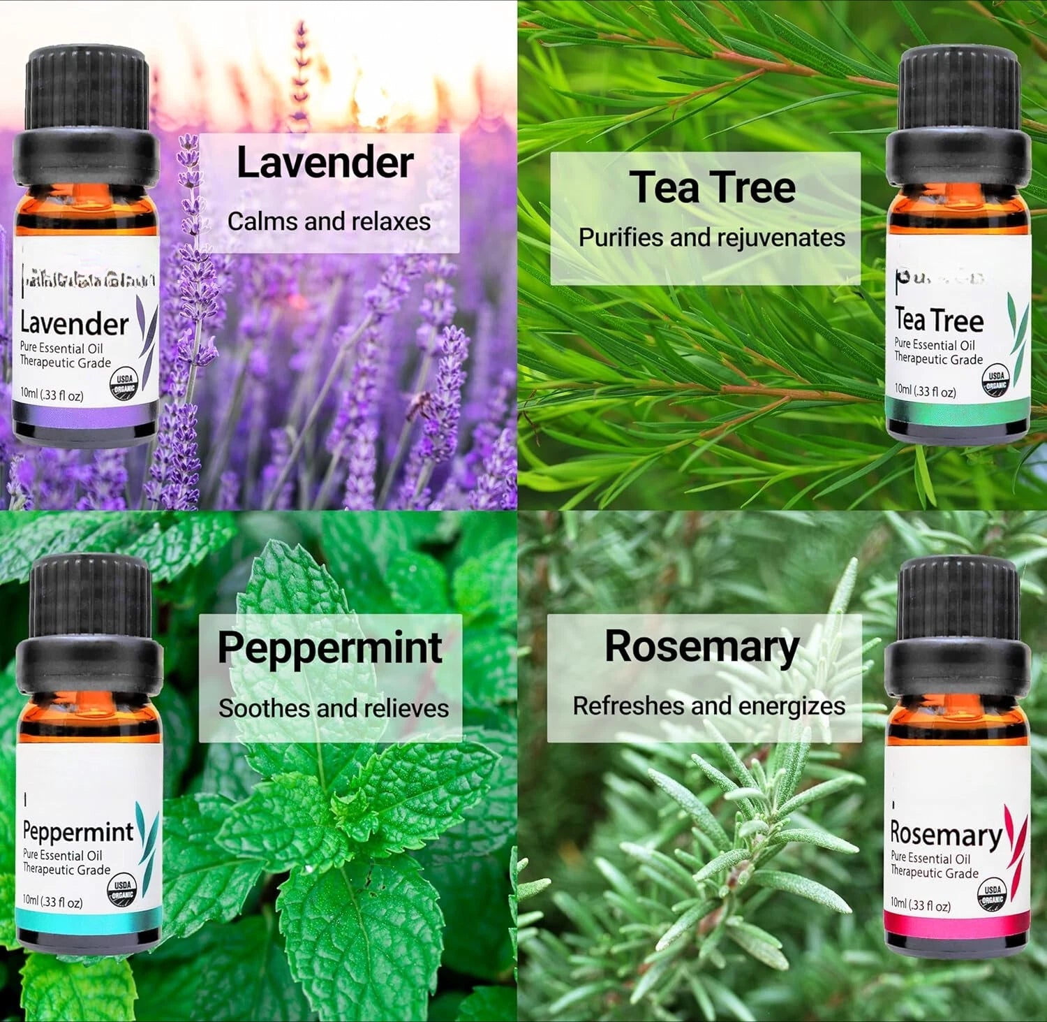 Organic Essential Oil Set - 16x 10mL Wooden Box Aromatherapy Gift Set 07FC0E-D4 - KOEEK