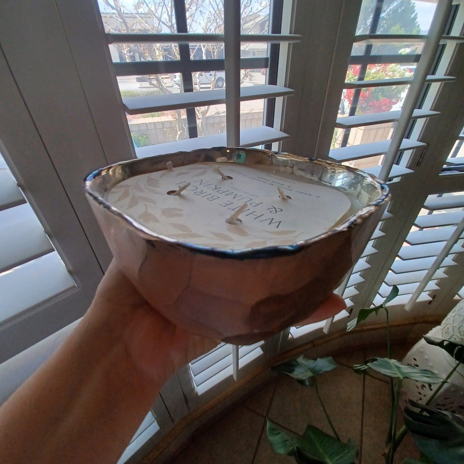 ANTHROPOLOGIE PEBBLE WHITE BIRCH & PUMPKIN GLASS CANDLE HUGE VERY LGE FENG SHUI ANTHROPOLOGIE - KOEEK