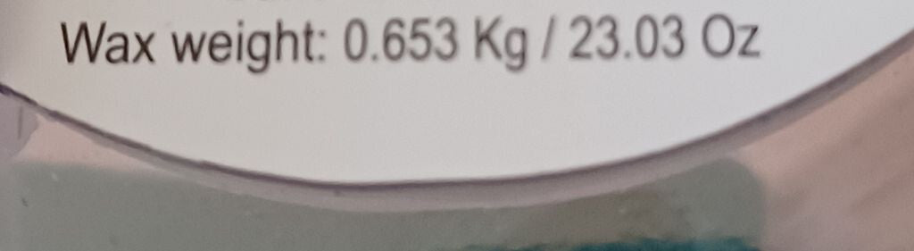 ANTHROPOLOGIE CANDLE ADA FLORAL SUEDED ROSE MERCURY GLASS CANDLE HUGE 23.03 OZ ANTHROPOLOGIE - KOEEK