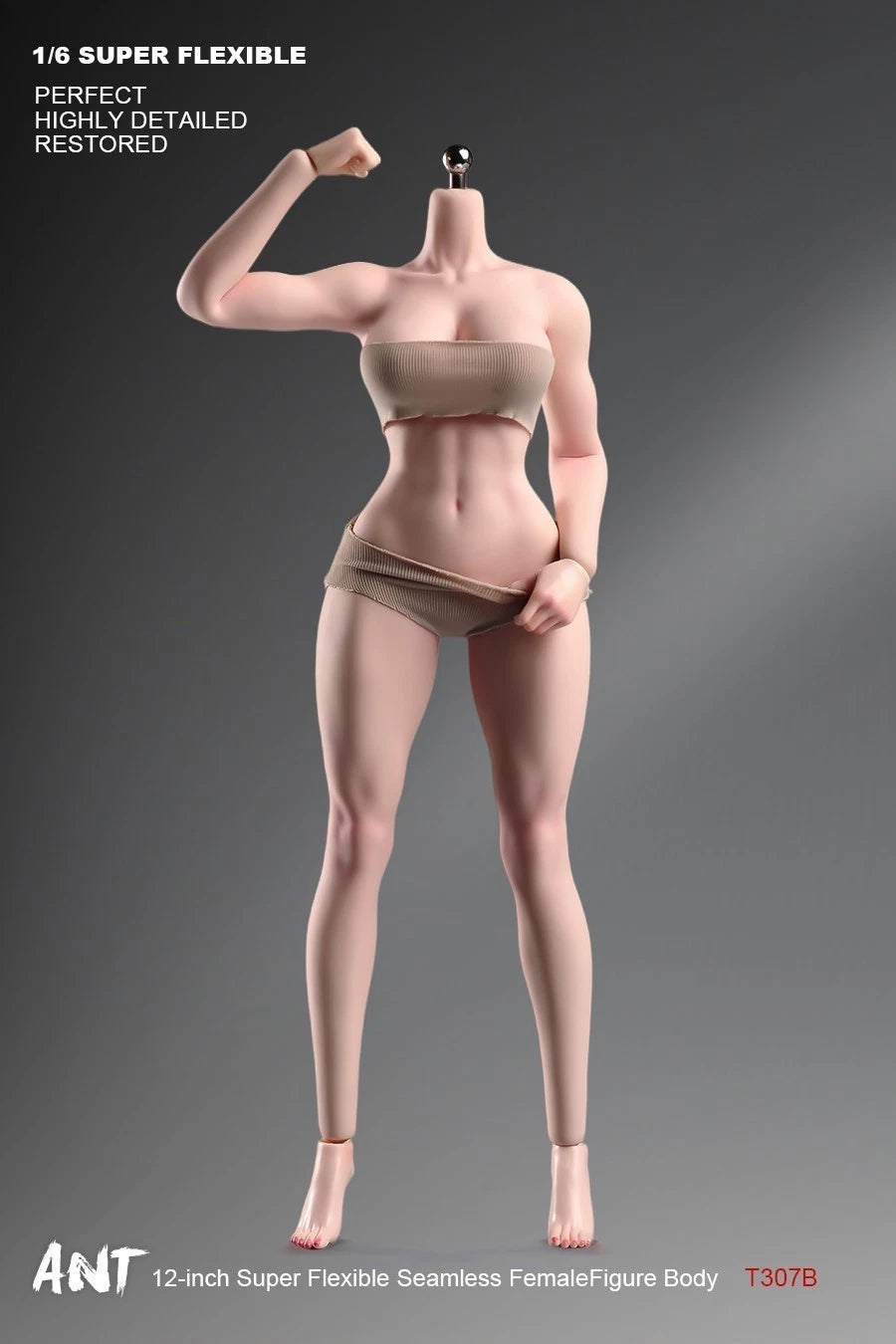 ANT T307 1/6 Female Normal Sexy Large Bust Muscle Plump Body For 12''Figure 07FC0E-D4 - KOEEK