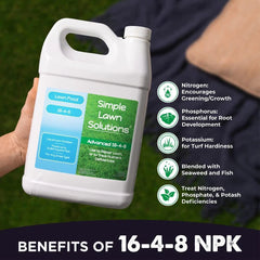 Advanced16-4-8 Lawn Fertilizer-Liquid Lawn Food Spring/Summer Spray Concentrate 07FC0E-D4 - KOEEK