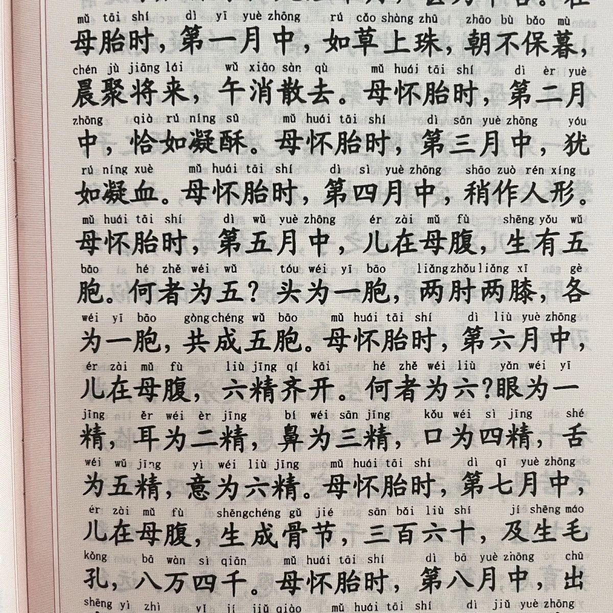 Simplified Large Print with Pinyin Recitation Buddhist Sutra Textbook 07FC0E-D4 - KOEEK