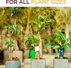 new 10-Pack Natural Self Watering Spikes - Terracotta - 10-pack Terra-cotta 07FC0E-D4 - KOEEK