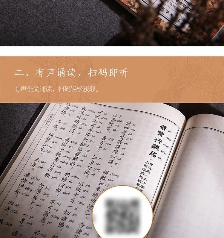 Heart Sutra Diamond Sutra Large Print with Pinyin Traditional Vertical Reading 07FC0E-D4 - KOEEK
