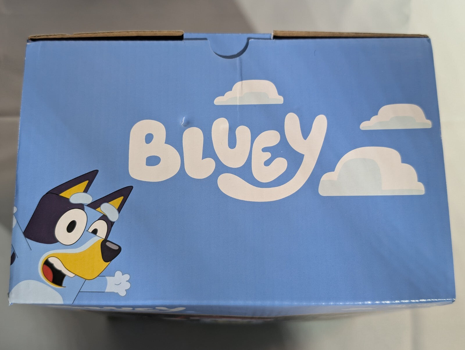 Bluey Christmas 3.5 FT Gemmy Lighted Inflatable Blow Up Santa Hat Decoration GEMMY - KOEEK