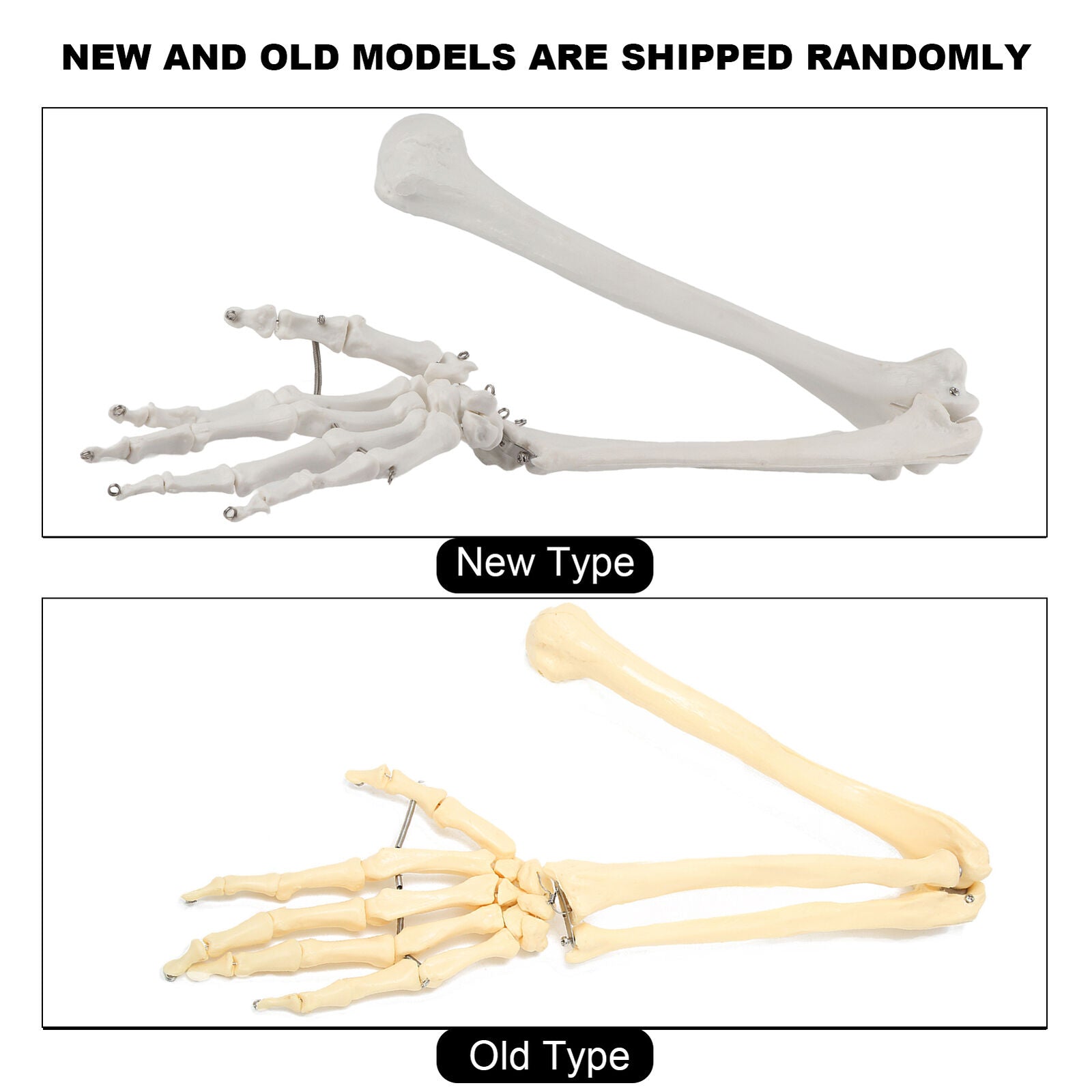 ny menneskelig håndbeinmodell Benmodell for øvre lemmer for undervisning demonstrasjon U