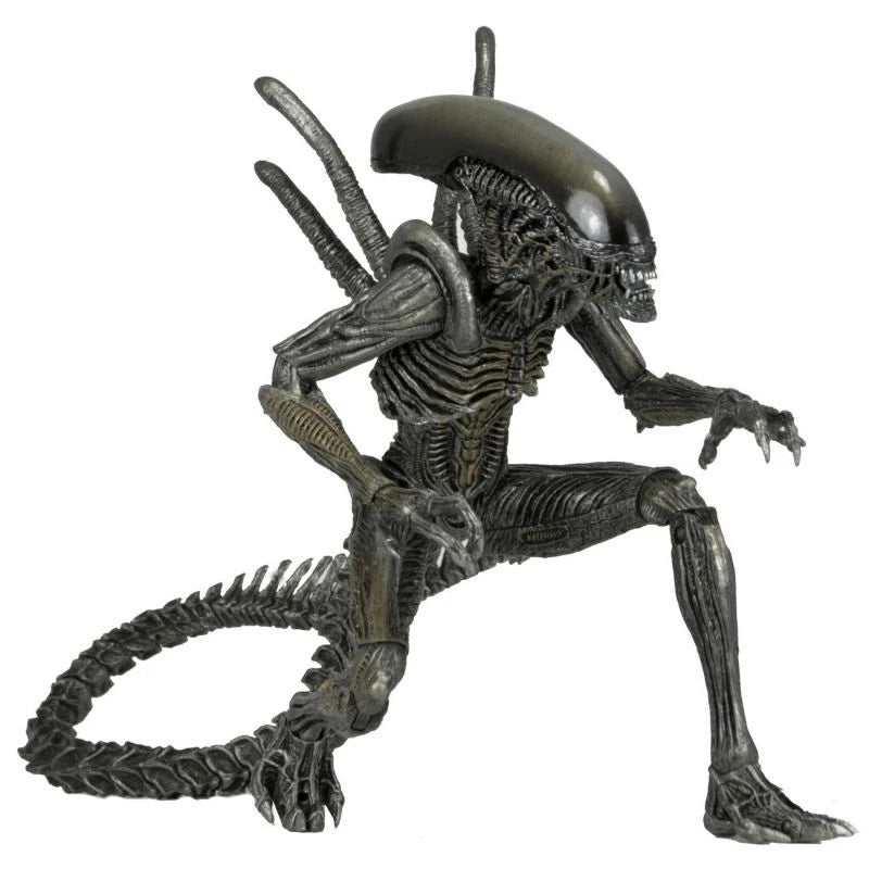 NECA Aliens Warrior Alien vs Predator AVP Black 7" Action Figure 1:12 Series 7 NECA - KOEEK