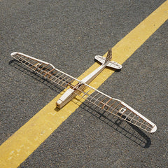 Sunbird Glider RC Model Airplane Balsa Wood Fixed Wing DIY KIT Wingspan 1052mm 07FC0E-D4 - KOEEK