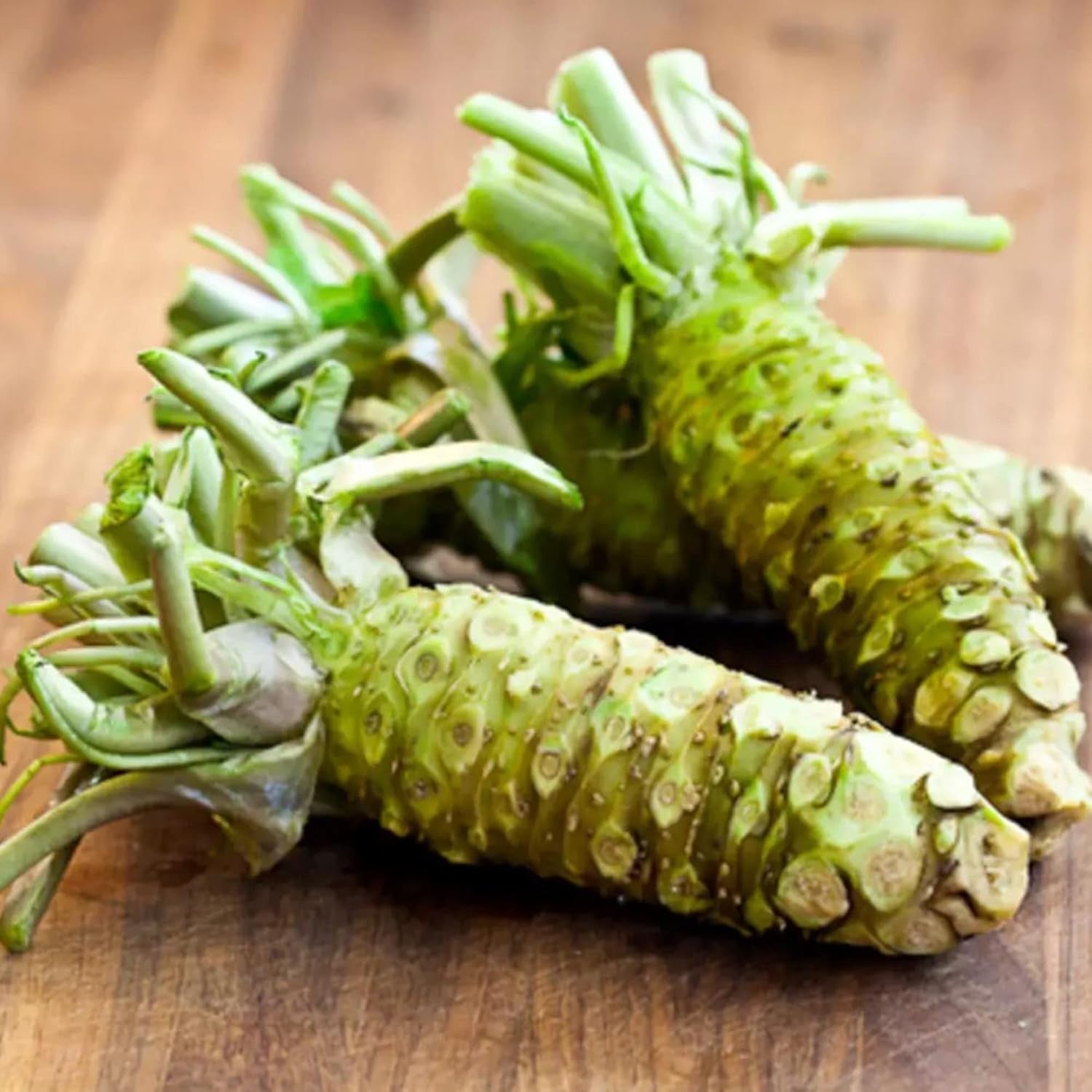 new Wasabi Seeds Japanese Horseradish  to Make Spicy Condiment Pungent Green 07FC0E-D4 - KOEEK