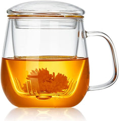 Glass Tea Cup with Infuser and Lid, 17.6oz/520ml Large Borosilicate Teacup,Tea