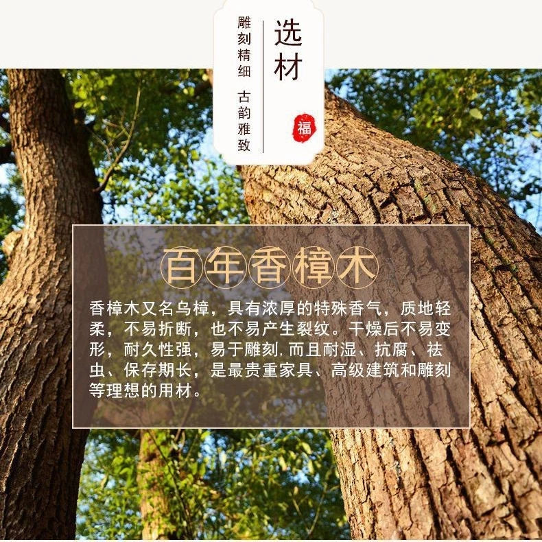 Dongyang Camphor Wood Carving Wall Hanging 28cm Entryway Living Room Decor 07FC0E-D4 - KOEEK