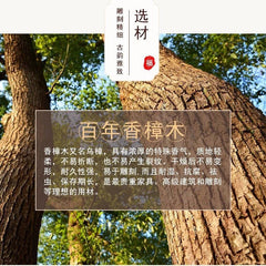 Dongyang Camphor Wood Carving Wall Hanging 28cm Entryway Living Room Decor 07FC0E-D4 - KOEEK