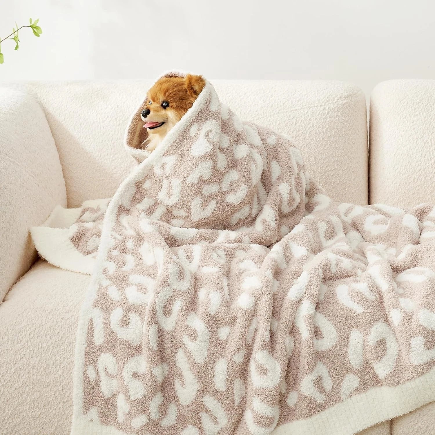 Super soft beige leopard print blanket Double size Dimensions: 60x80 inches 07FC0E-D4 - KOEEK