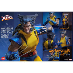 Hot Toys 1/6 Hono Studio HS01 Marvel Comics Wolverine Action Figure Toy Gift 07FC0E-D4 - KOEEK