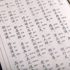 Buddha's Teaching on the Infinite Life Sutra Chinese Classics Reading Textbook 07FC0E-D4 - KOEEK