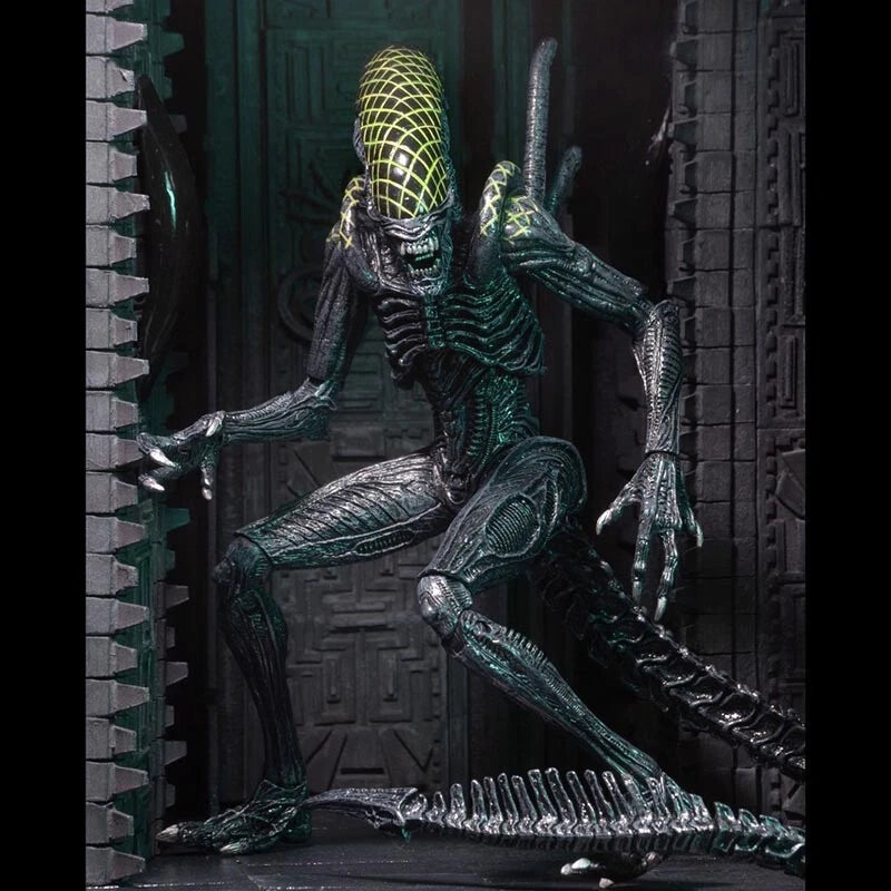 NECA Grid Alien Xenomorph Warrior AVP 7" Action Figure 1:12 Aliens Series 7 NECA - KOEEK