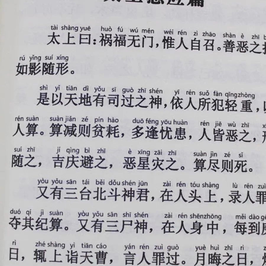 Liao Fan's Four Lessons Simplified Pinyin Recitation Buddhist Sutra Textbook 07FC0E-D4 - KOEEK