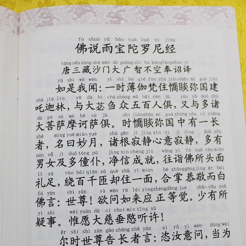 Buddha's Teaching on Rain Jewel Dharani Large Print Pinyin Buddhist Textbook 07FC0E-D4 - KOEEK
