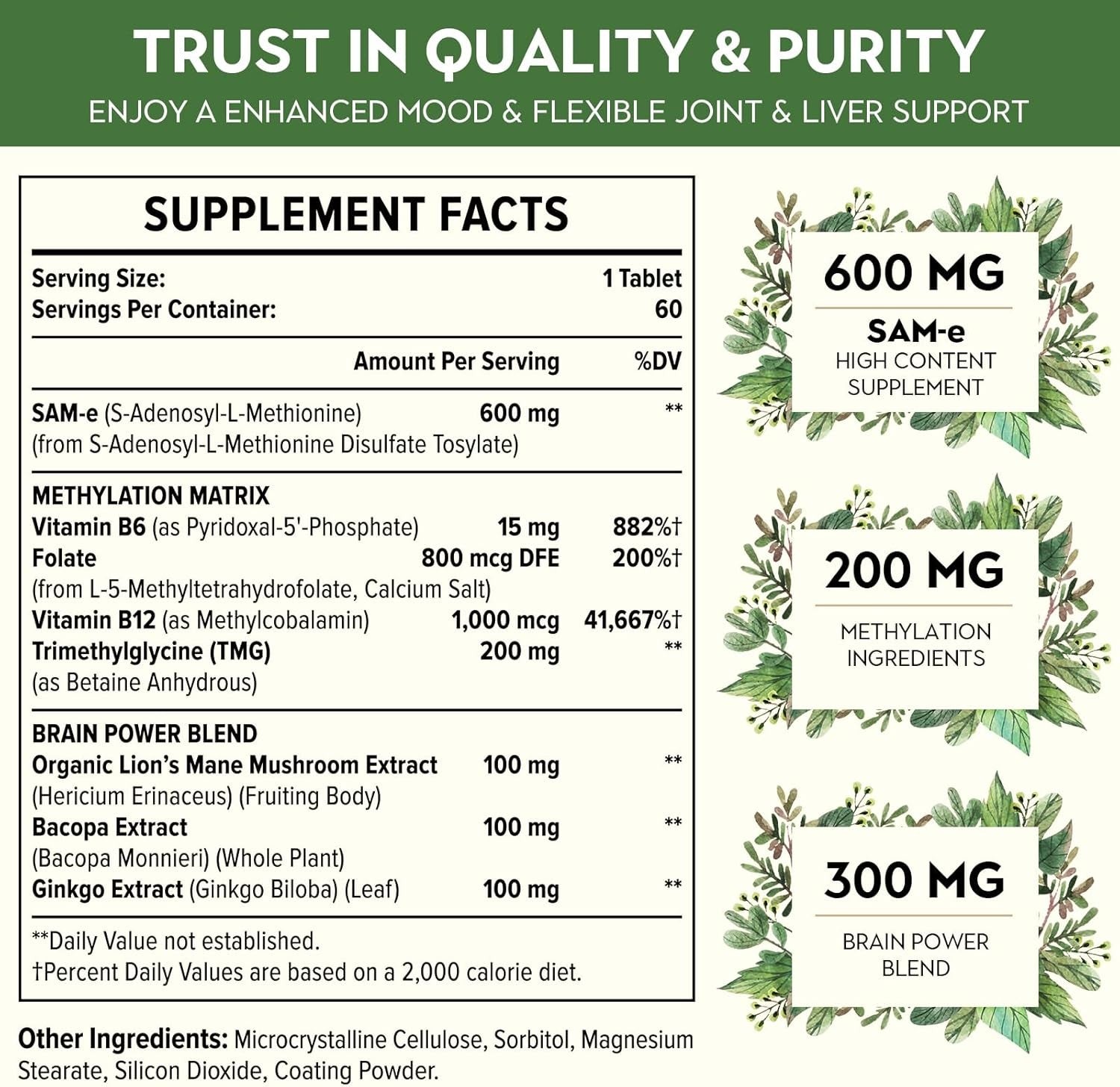 new 1100mg SAM-e (S-Adenosyl-L-Methionine), SAM e Supplement 60 Count (Pack of 2)