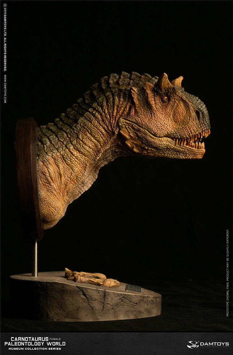 DAMTOYS Carnotaurus Female Head Bust Dinosaur Statue Model Display MUS006A DAMTOYS - KOEEK