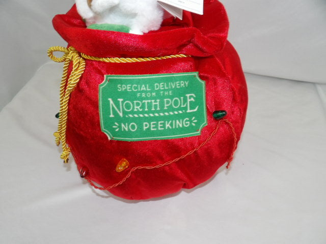 Wondershop Animated Santa Musical, Light up, Dancing Santa in the Toy Bag WONDERSHOP - KOEEK