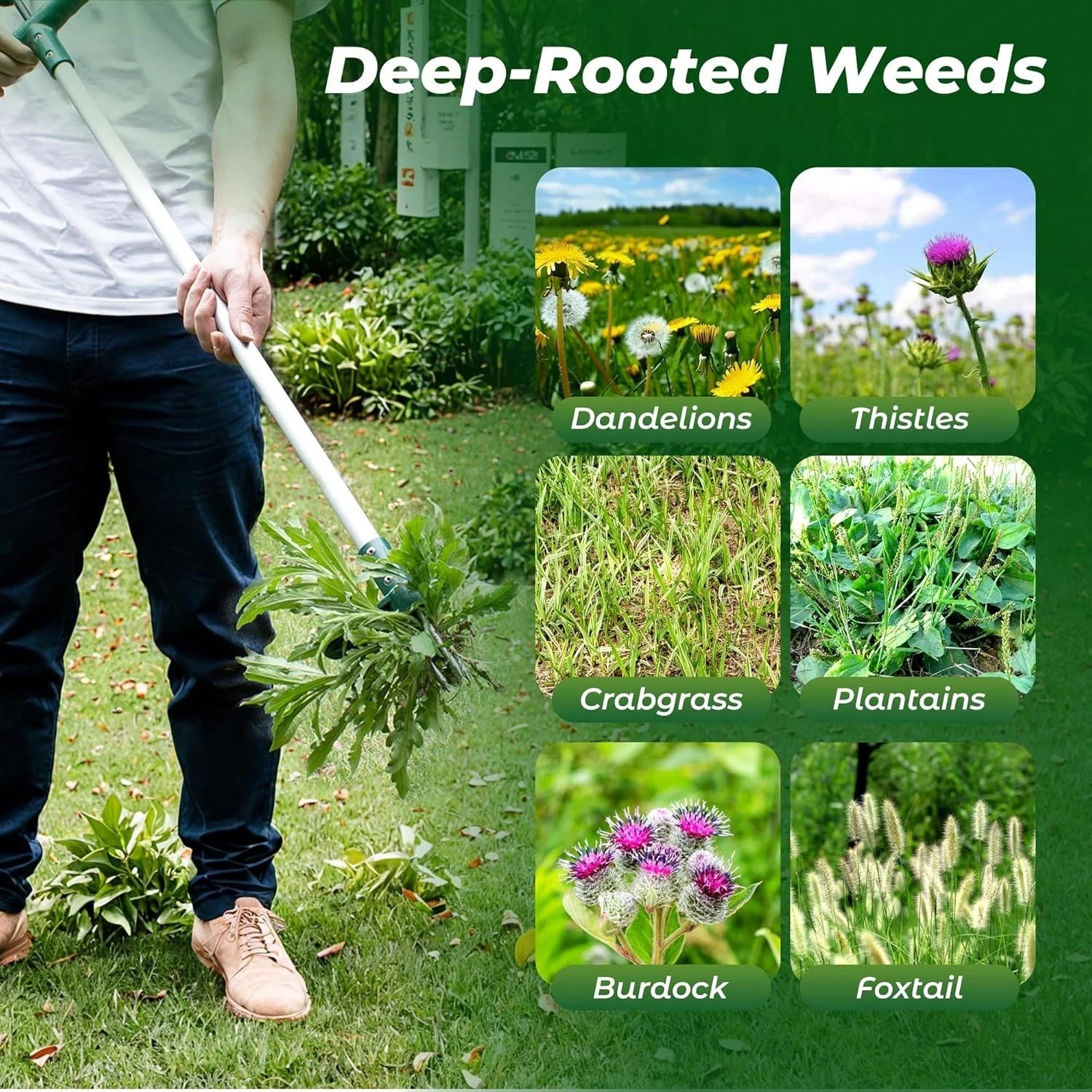 Walensee Weed Puller, Stand Up Weeder Hand Tool, Long Handle Garden Weeding Tool 07FC0E-D4 - KOEEK
