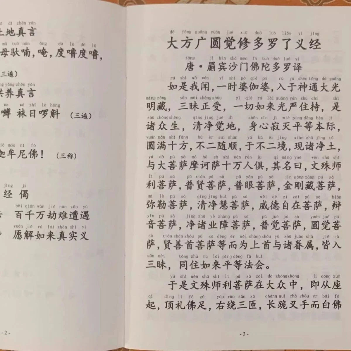 Yuanjue Sutra Simplified Large Print Pinyin Recitation Buddhist Textbook 07FC0E-D4 - KOEEK