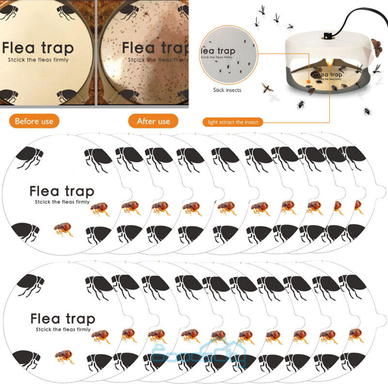 ny 10/20X engangsmærkat Trapest Sticky Dome Loppefælde Refill til Victor Trap