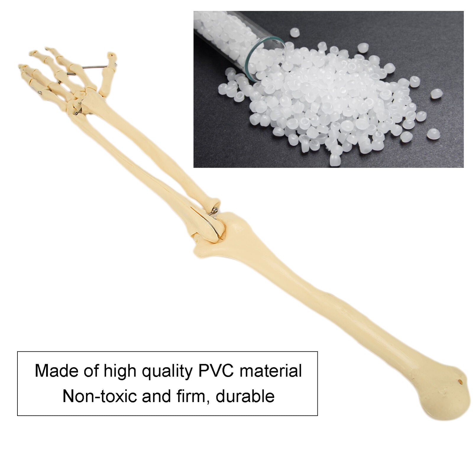 ny menneskelig håndbeinmodell Benmodell for øvre lemmer for undervisning demonstrasjon U