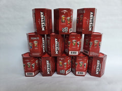 (12) Hallmark Peanuts Mystery Ornaments. Sealed. Lot Of 12. Surprise. HALLMARK - KOEEK