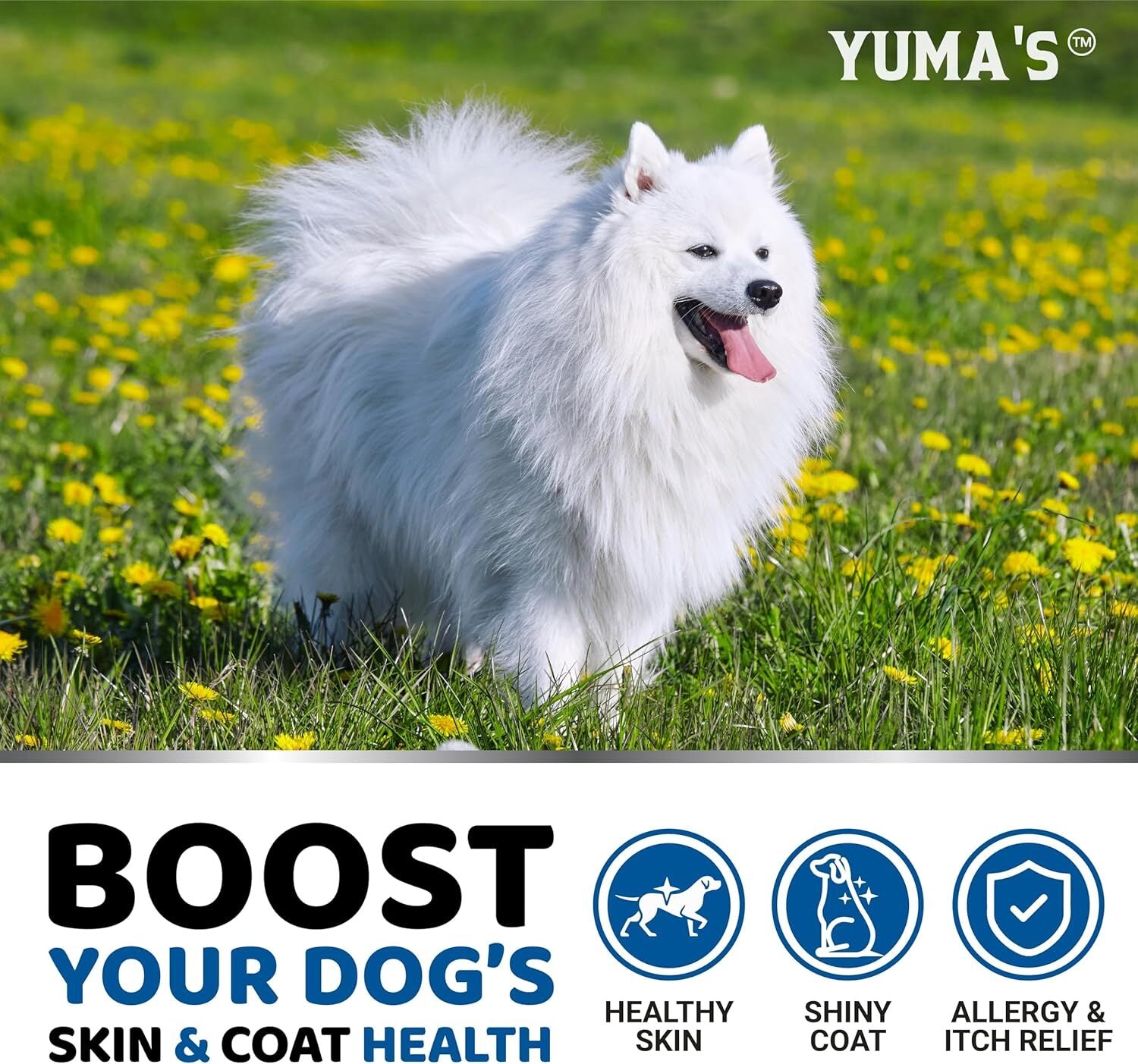 used Omega 3 Fish Oil for Dogs - 170 Chews - Skin and Coat 170 - & 07FC0E-D4 - KOEEK