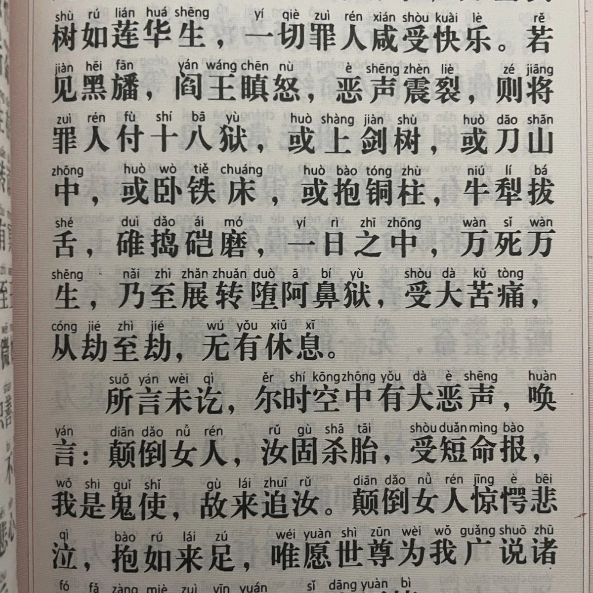 Simplified Large Print Pinyin Two-Color Dharani Sutra Textbook 07FC0E-D4 - KOEEK