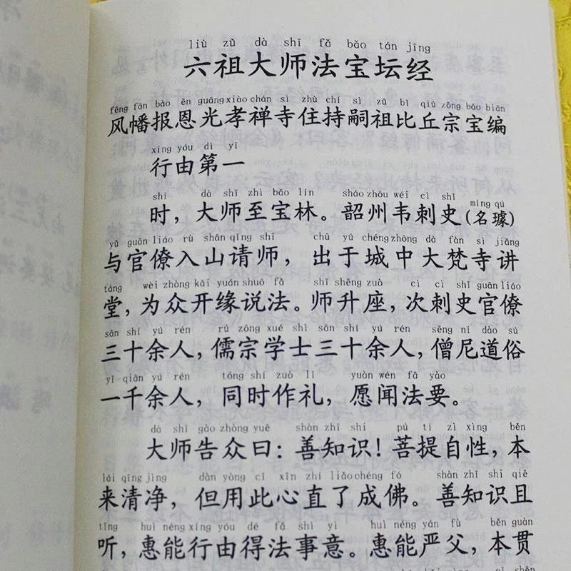 Sixth Patriarch Platform Sutra Large Print Pinyin Simplified Buddhist Textbook 07FC0E-D4 - KOEEK