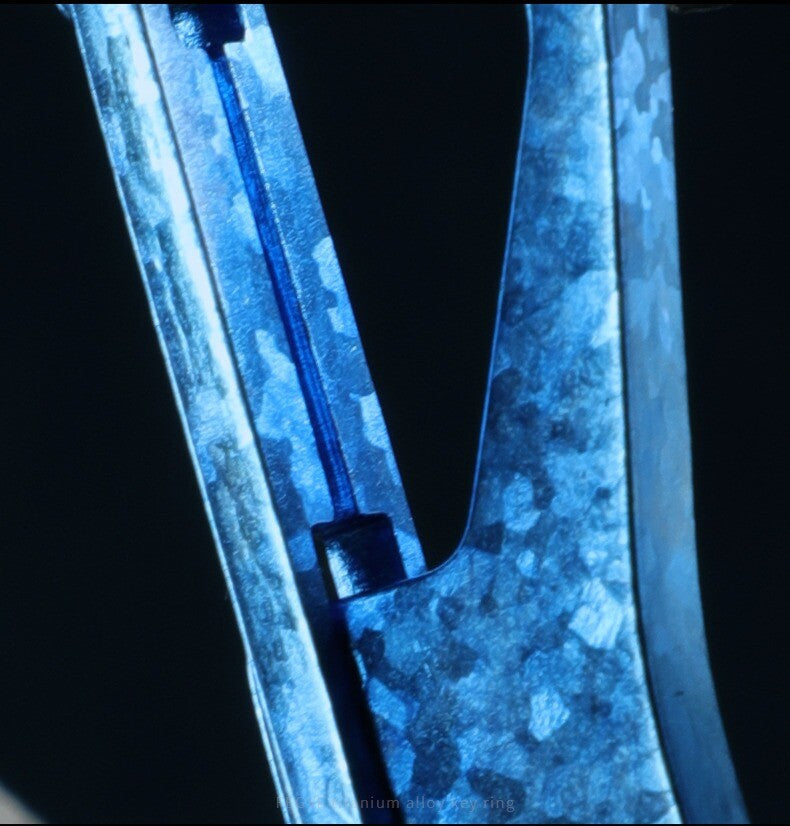 Titanium Carabiner Keychain Clip Car Key Chain Fob Key Ring Holder Organizer EDC 07FC0E-D4 - KOEEK