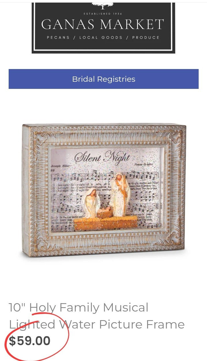 Christmas Musical Silent Night Lighted Water Picture Frame RAZ Imports 10" RAZ IMPORTS - KOEEK