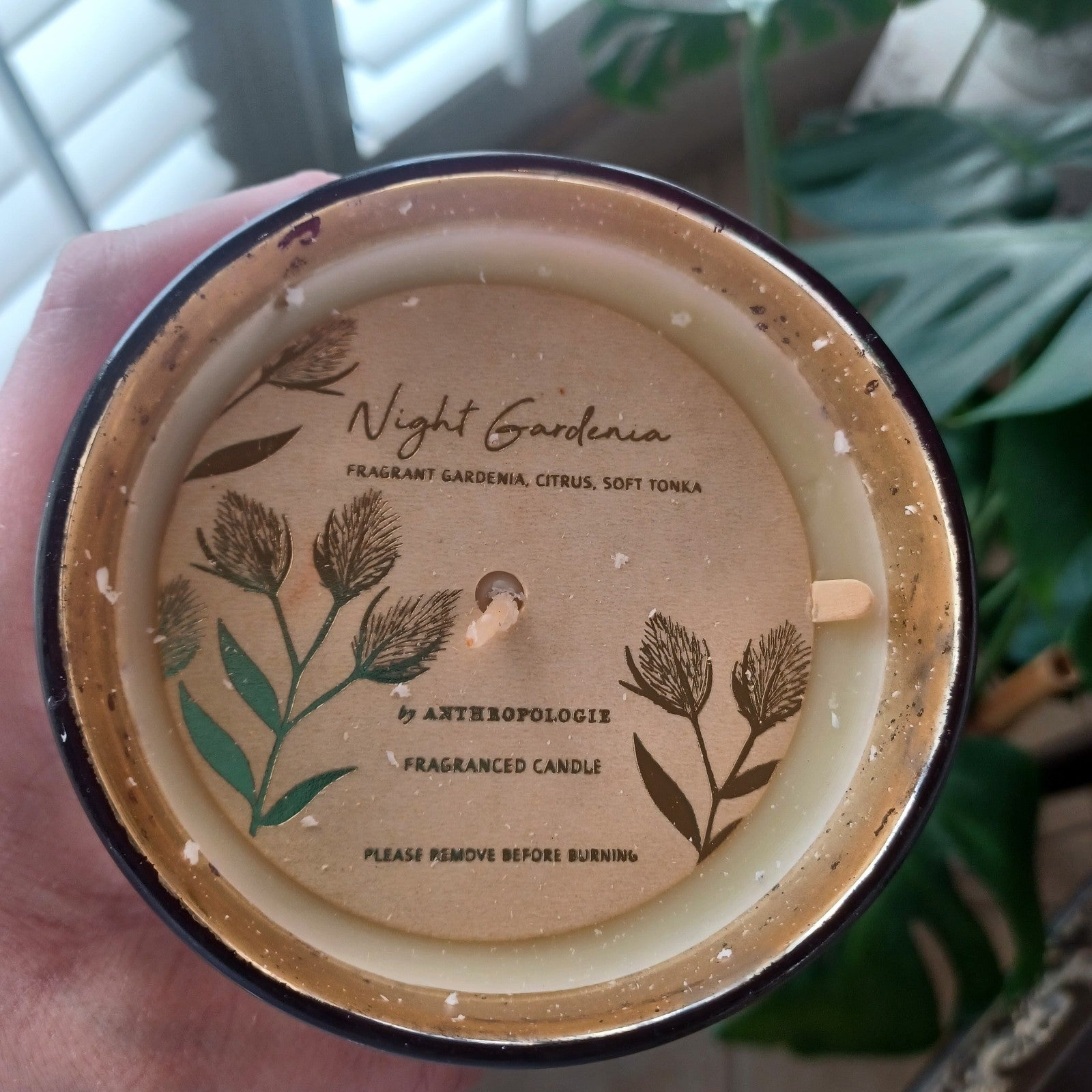 ANTHROPOLOGIE ALEXANDRA ~ NIGHT GARDENIA ETCHED GLASS CANDLE  ~ BEAUTIFUL ANTHROPOLOGIE - KOEEK